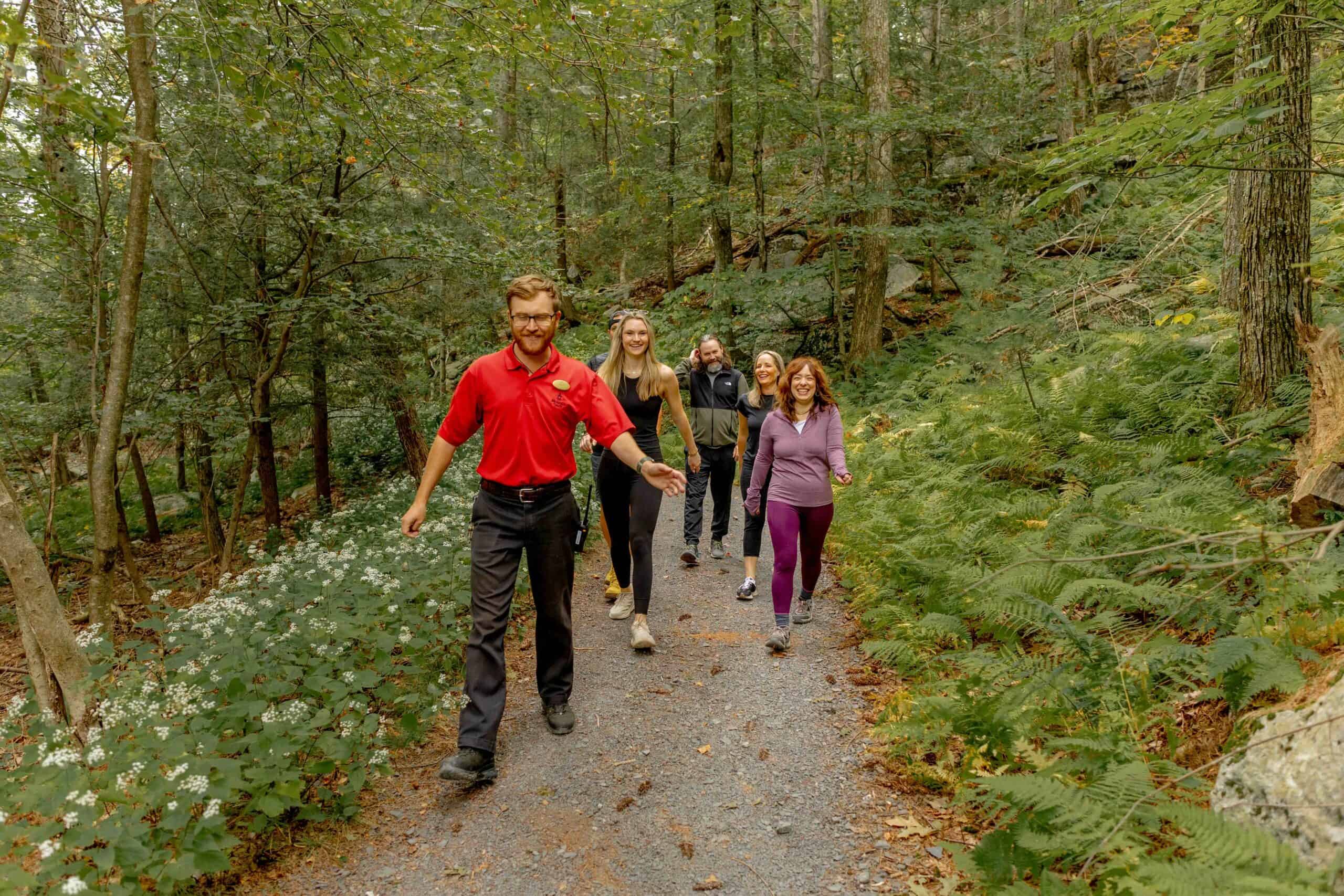 Structured food planning board with balanced meal categories